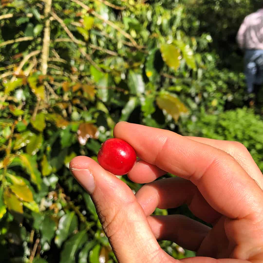 a-typical-colombian-coffee