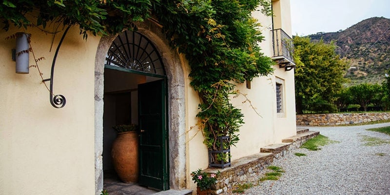 vini calabresi tipici