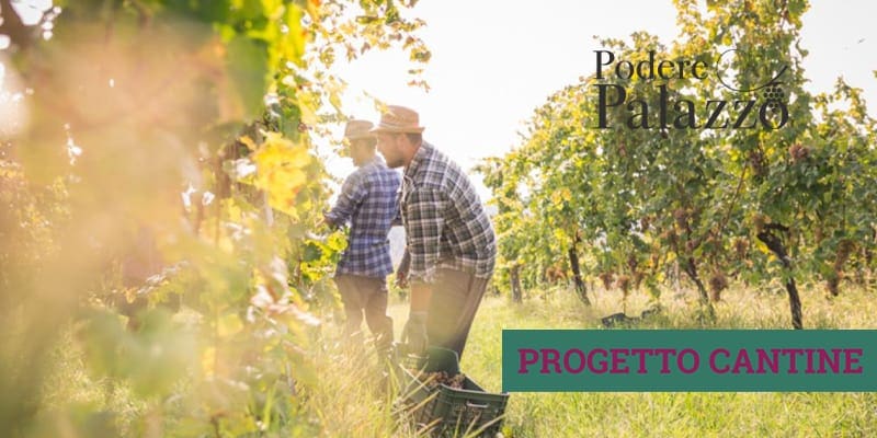 Podere Palazzo azienda vitivinicola che ha aderito al progetto cantine di Vinhood