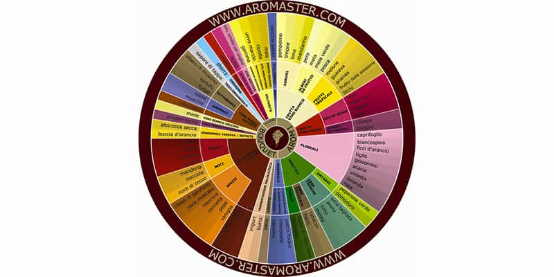 Ruota degli aromi