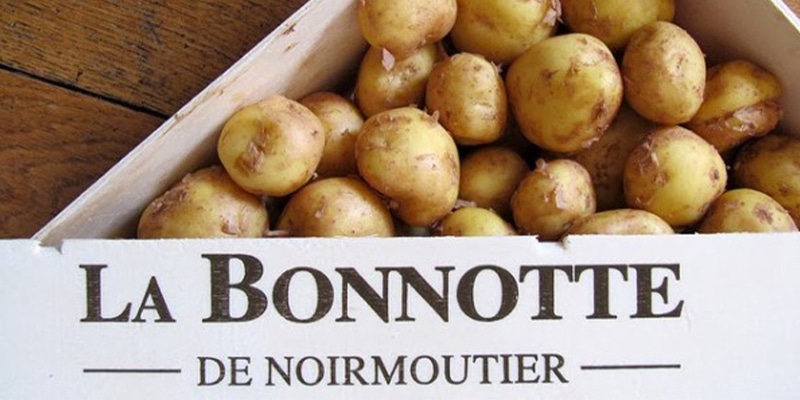 patata Bonnotte, la più cara del mondo