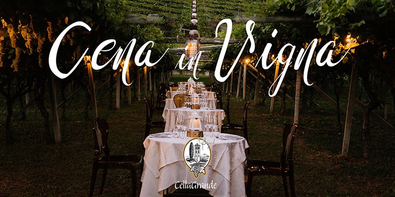 cena in vigna con tavolo allestito tra i filari di cantina Cellamonte