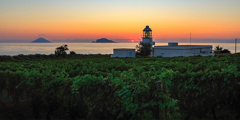 immagine di tenuta Capofaro a Salina