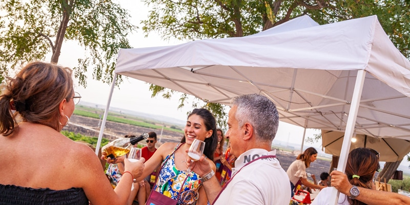 evento vino