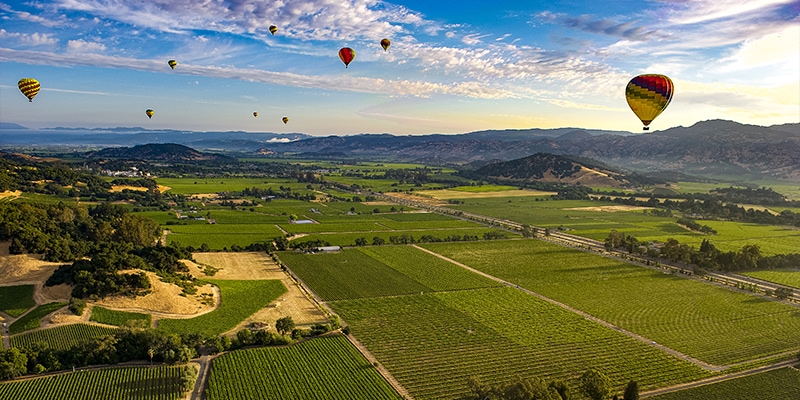 napavalley vino e arte 