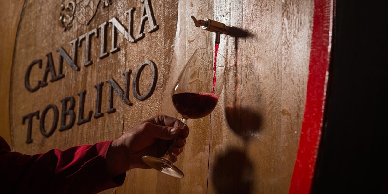 Foto di degustazione vini di Cantina Toblino