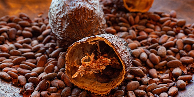cacao